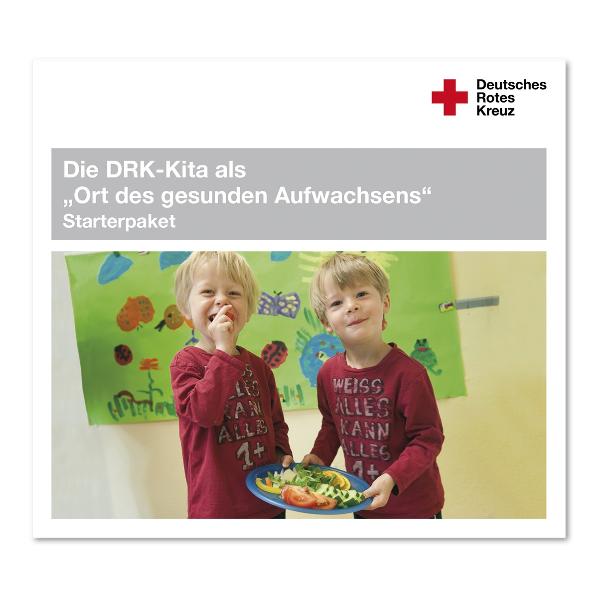 CD-ROM Die DRK-Kita als "Ort des gesunden Aufwachsens" - Starterpaket CD-ROM Die DRK-Kita als "Ort des gesunden Aufwachsens" - Starterpaket