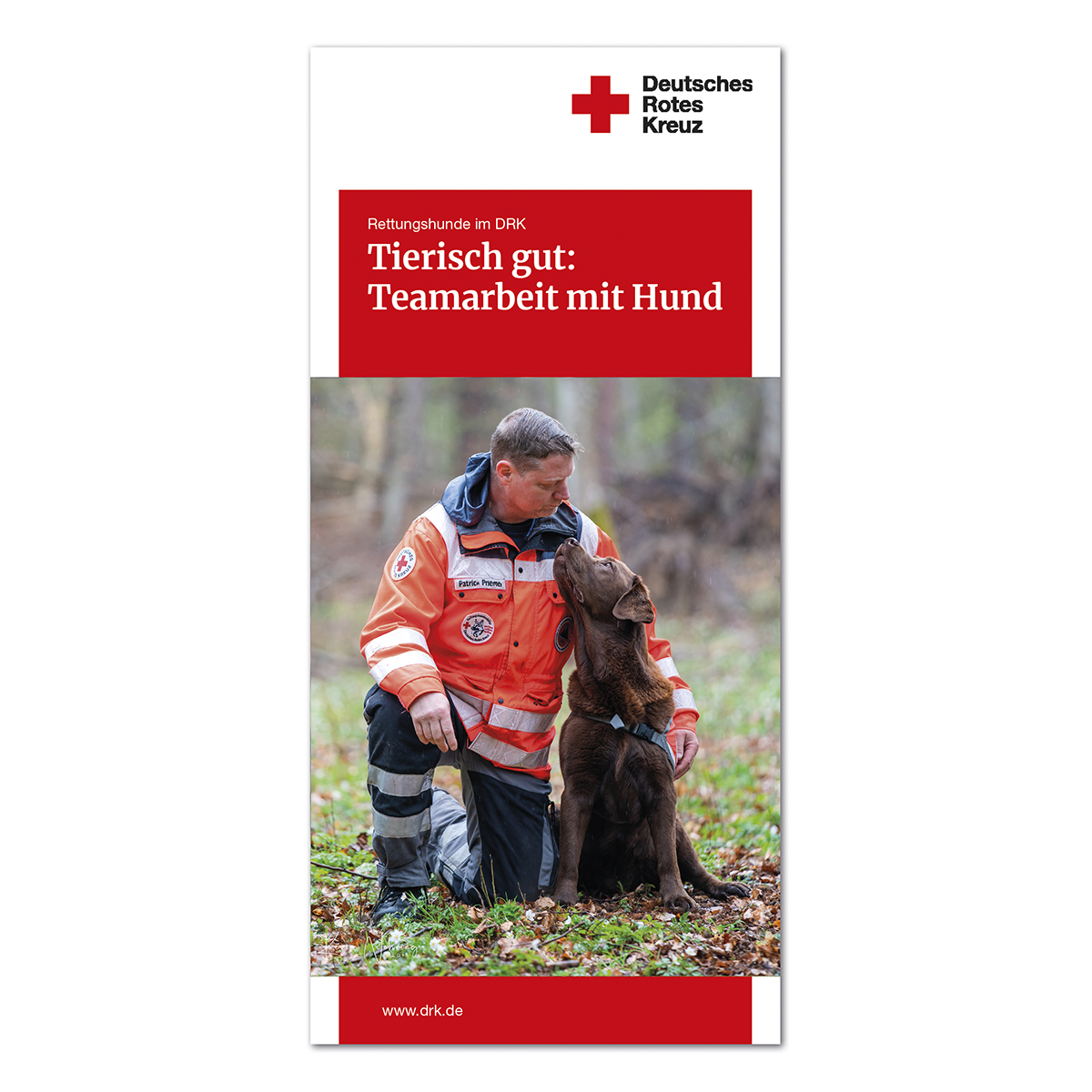 Faltblatt Rettungshunde im DRK, Tierisch gut: Teamarbeit mit Hund, VE = 50 Stück Logo, Symbol, Erste Hilfe, Rotes Kreuz, Person