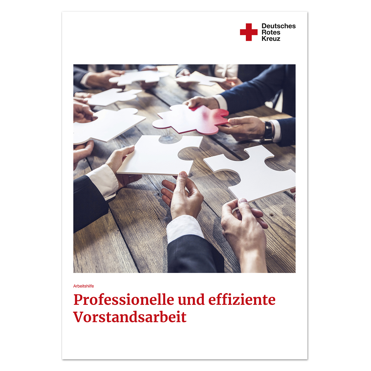Arbeitshilfe Professionelle und effiziente Vorstandsarbeit mit VE = 5 Stück