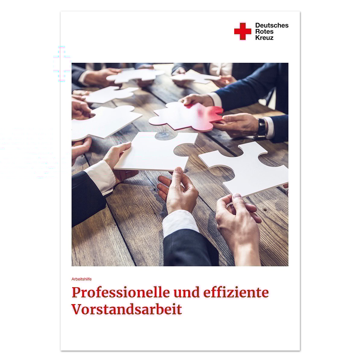 Arbeitshilfe Professionelle und effiziente Vorstandsarbeit, VE = 5 Stück Arbeitshilfe Professionelle und effiziente Vorstandsarbeit mit VE = 5 Stück