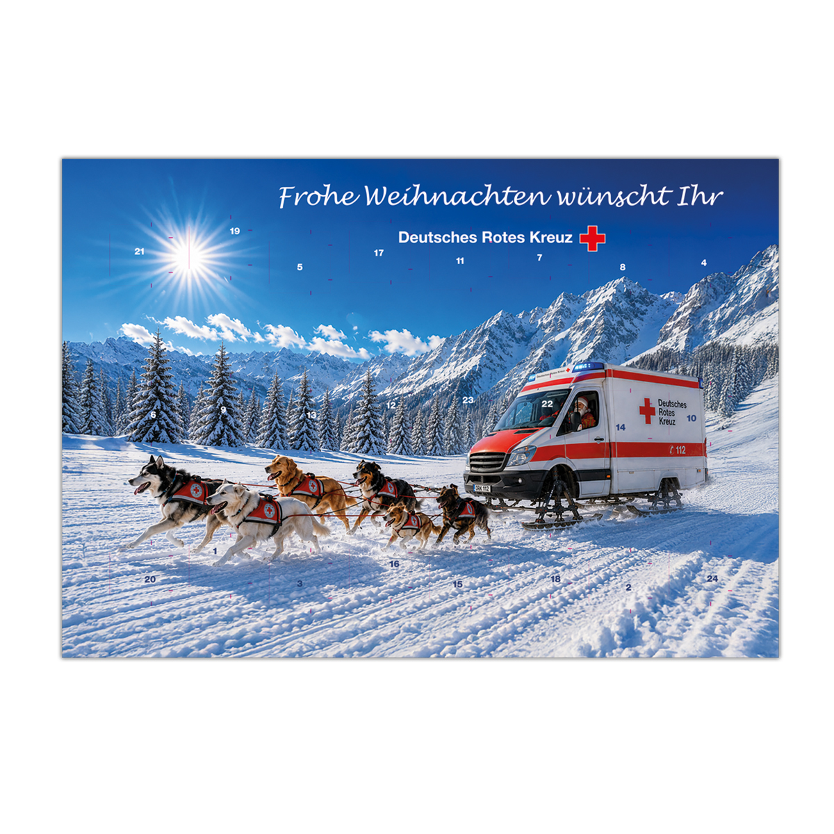 Schlittenhundewagen, Rotes Kreuz, Skiwinter, Schneelandschaft, Dienstfahrzeug