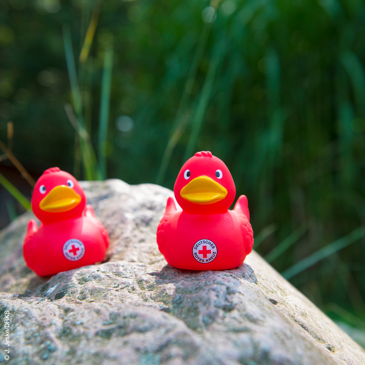 Bade-Ente mit DRK-Rundlogo, VE = 5 Stück