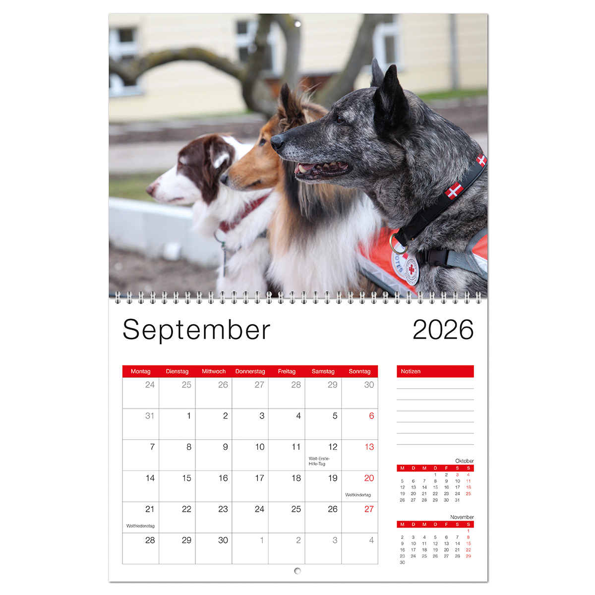 Bildkalender 2026 - Imagekalender mit VE = 1 Stück, Text, Kalender, Hund, Säugetier, Haustier, Text, Kalender, Hund, Säugetier, Haustier