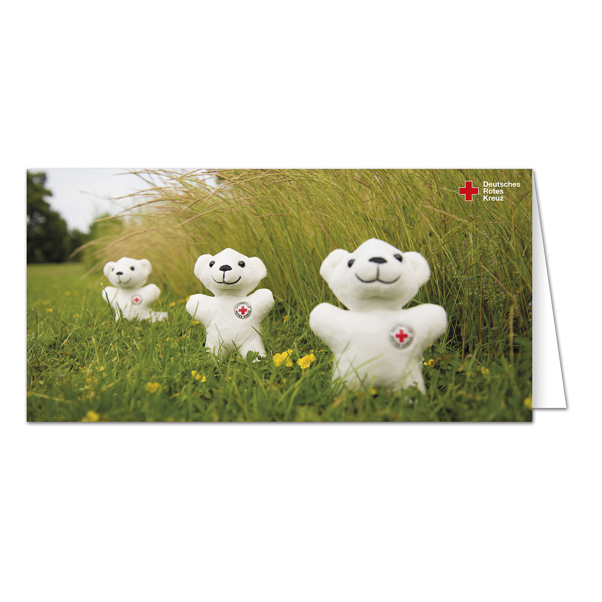 Grußkarte Motiv DRK-Teddybären, VE = 10 Stück Grußkarte Motiv DRK-Teddybären mit VE = 10 Stück