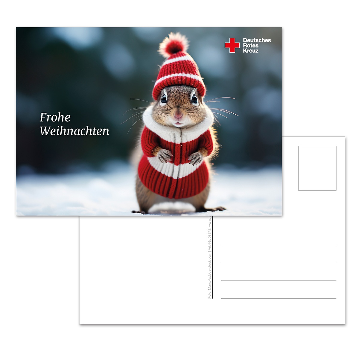 Weihnachtspostkarte Motiv "Eichhörnchen" VE = 10 Stück Weihnachtspostkarte Motiv "Eichhörnchen" VE = 10 Stück