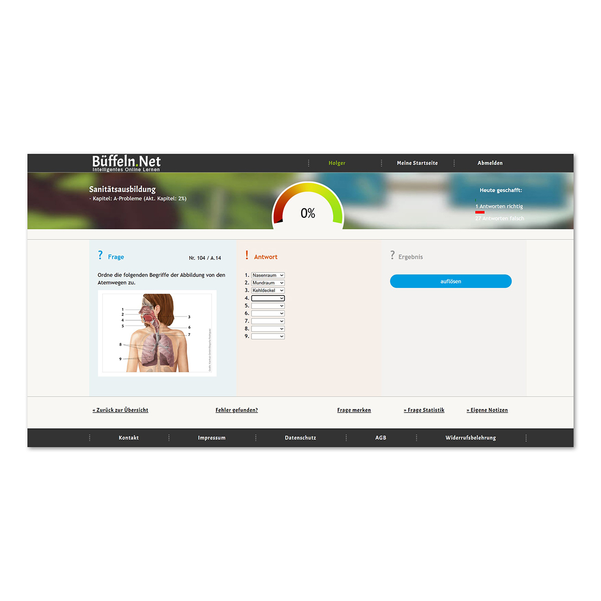 Datei, Webseite, Erwachsener, Person, Frau