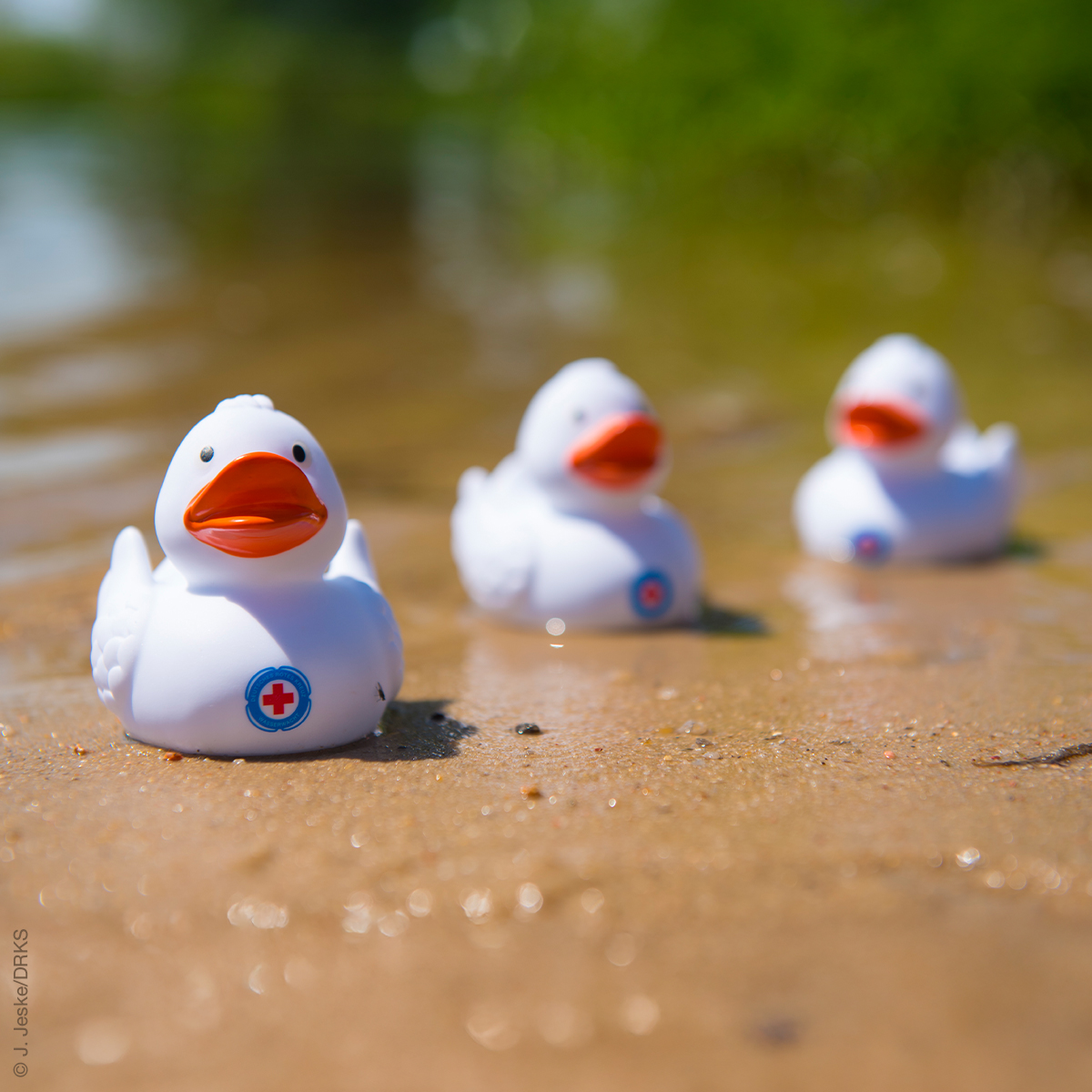 Bade-Ente mit Wasserwacht-Logo, VE = 5 Stück