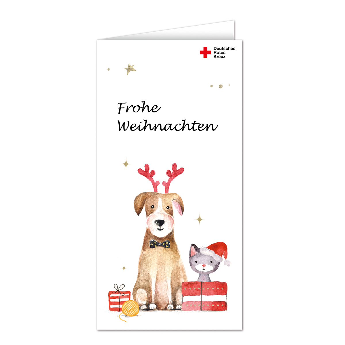 Weihnachtskarte, Hund, Katze, Geschenke, Santa Hat