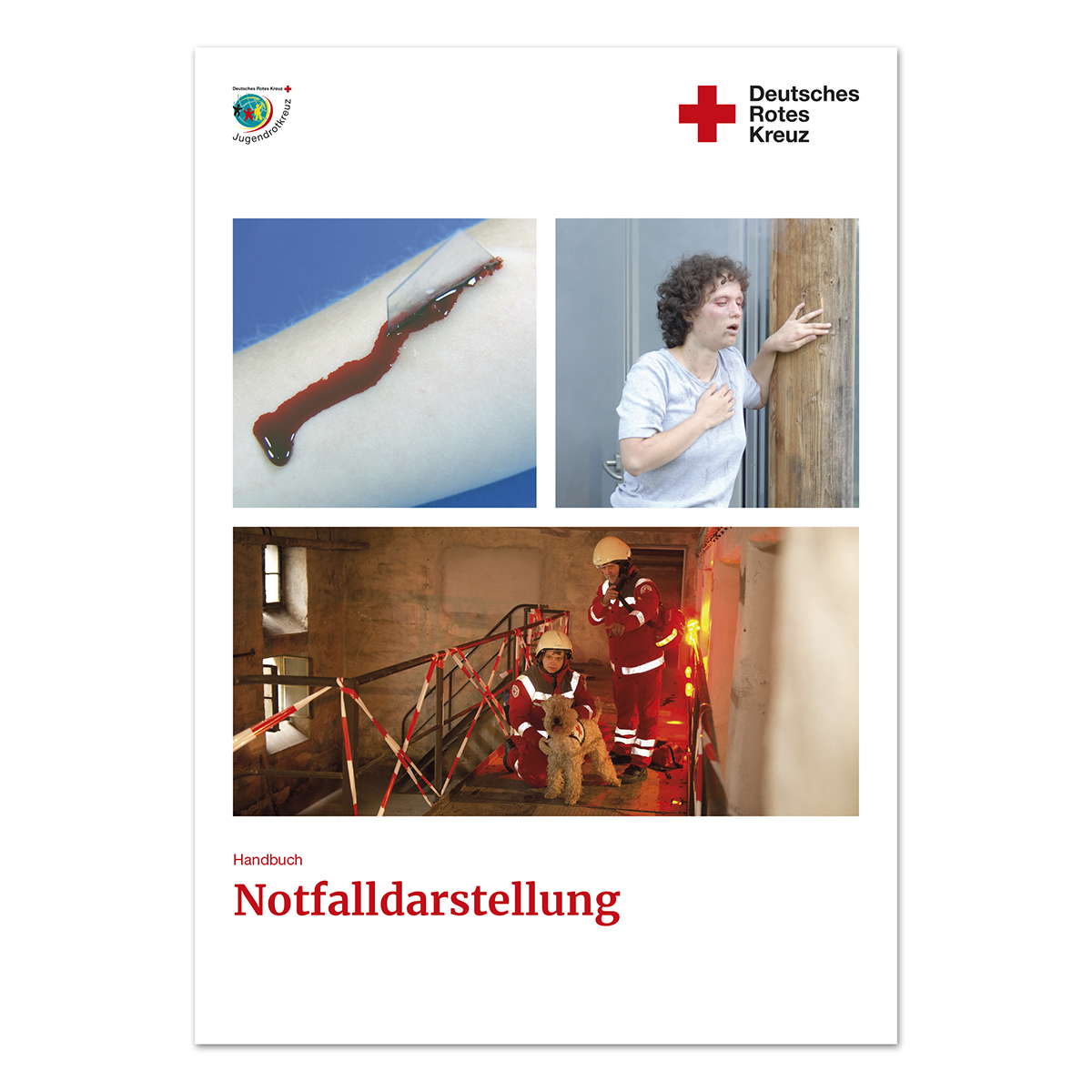Handbuch Notfalldarstellung