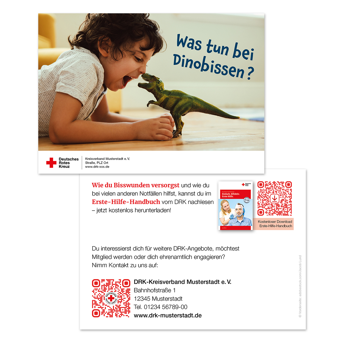 Einfach. Effektiv. Erste Hilfe. Das Handbuch für alle Rotkreuzkurse - digitale Ausgabe