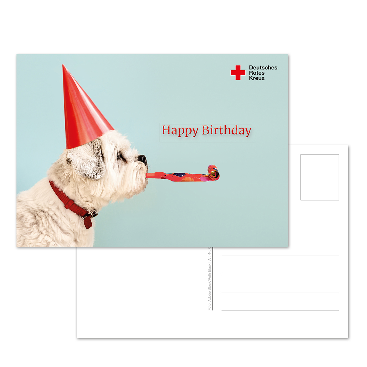 Geburtstagspostkarte Motiv Hund, VE = 10 Stück Geburtstagspostkarte Motiv Hund mit VE = 10 Stück