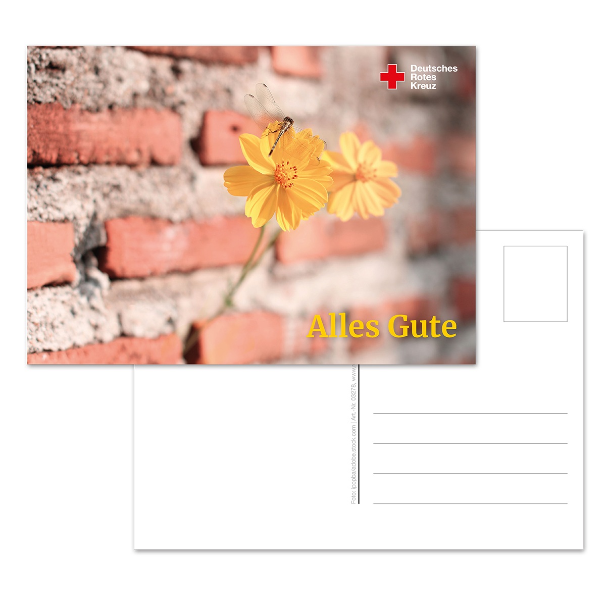 Postkarte Motiv Mauerblume, VE = 10 Stück Postkarte Motiv Mauerblume mit VE = 10 Stück