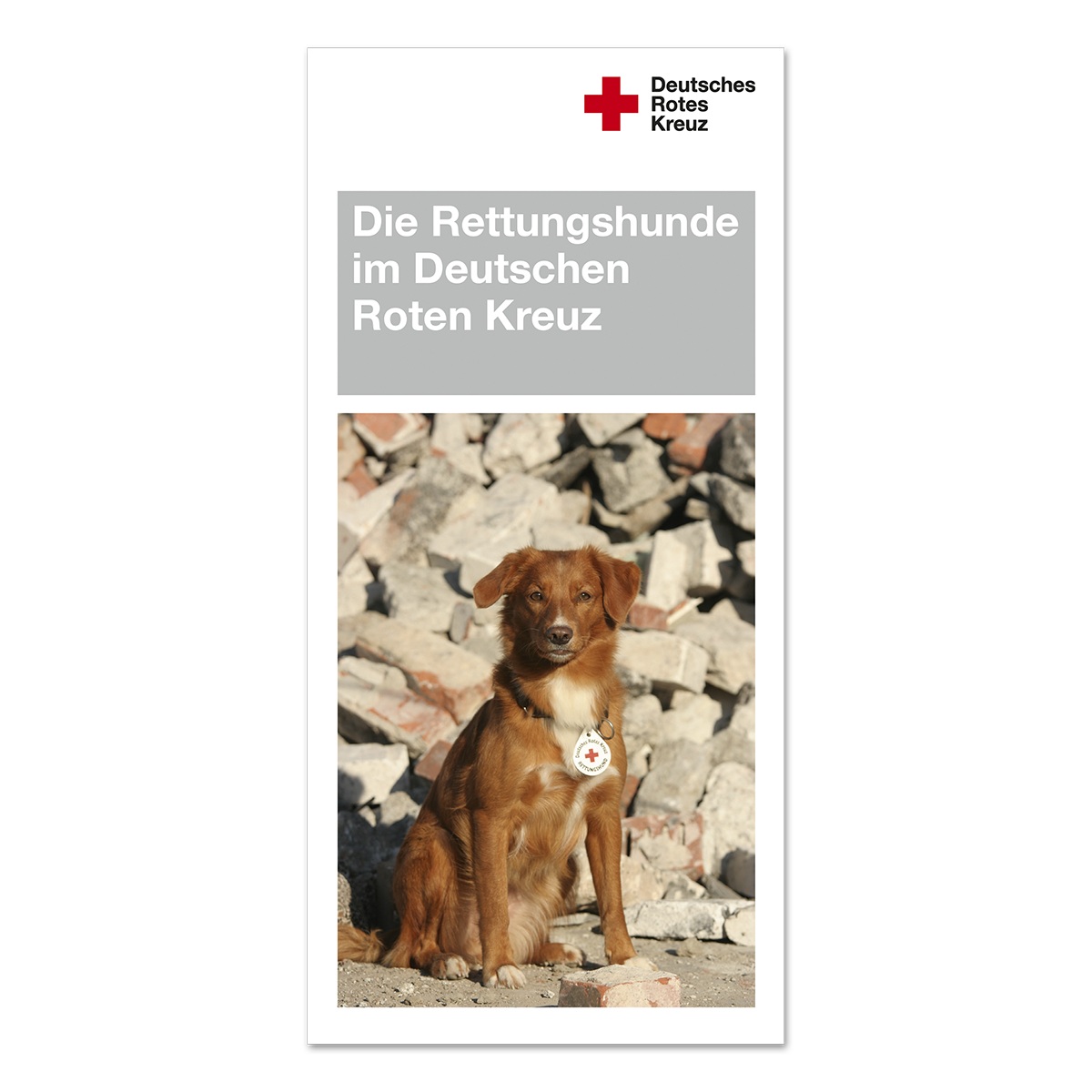 Faltblatt Die Rettungshunde im Deutschen Roten Kreuz, VE = 50 Stück Faltblatt Die Rettungshunde im Deutschen Roten Kreuz mit VE = 50 Stück