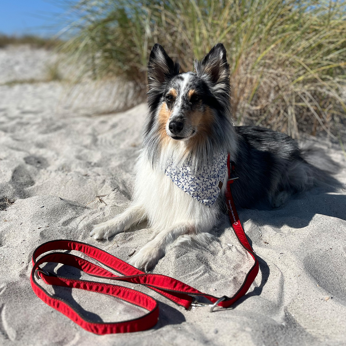 Hundeleine mit DRK-Langlogo